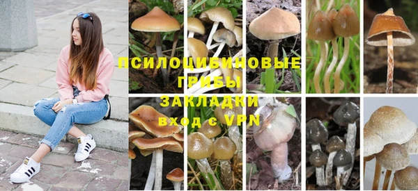 мяу мяу мука Нягань
