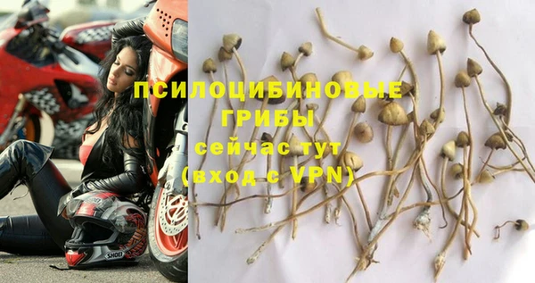 первитин Новодвинск