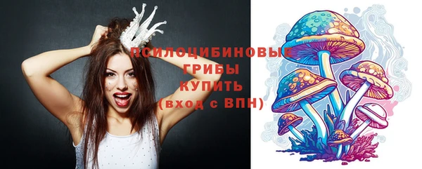 мяу мяу мука Нягань